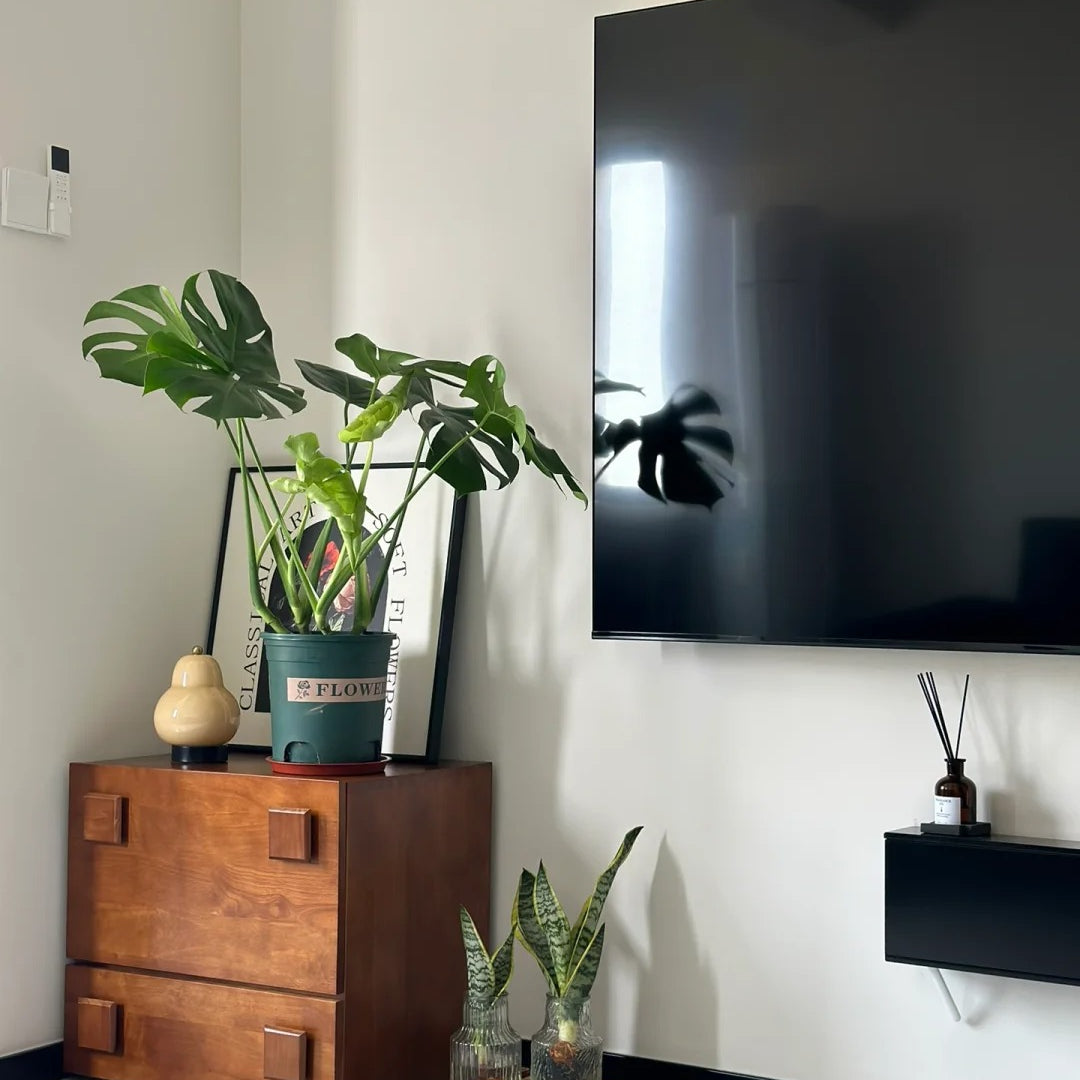 Sunny time from Pootoo furniture experts