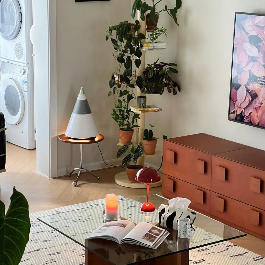 The Aesthetic Design and Practical Use of "THE 1920 Cabinet"